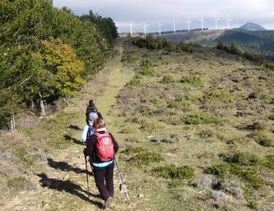 Personas andando por el monte